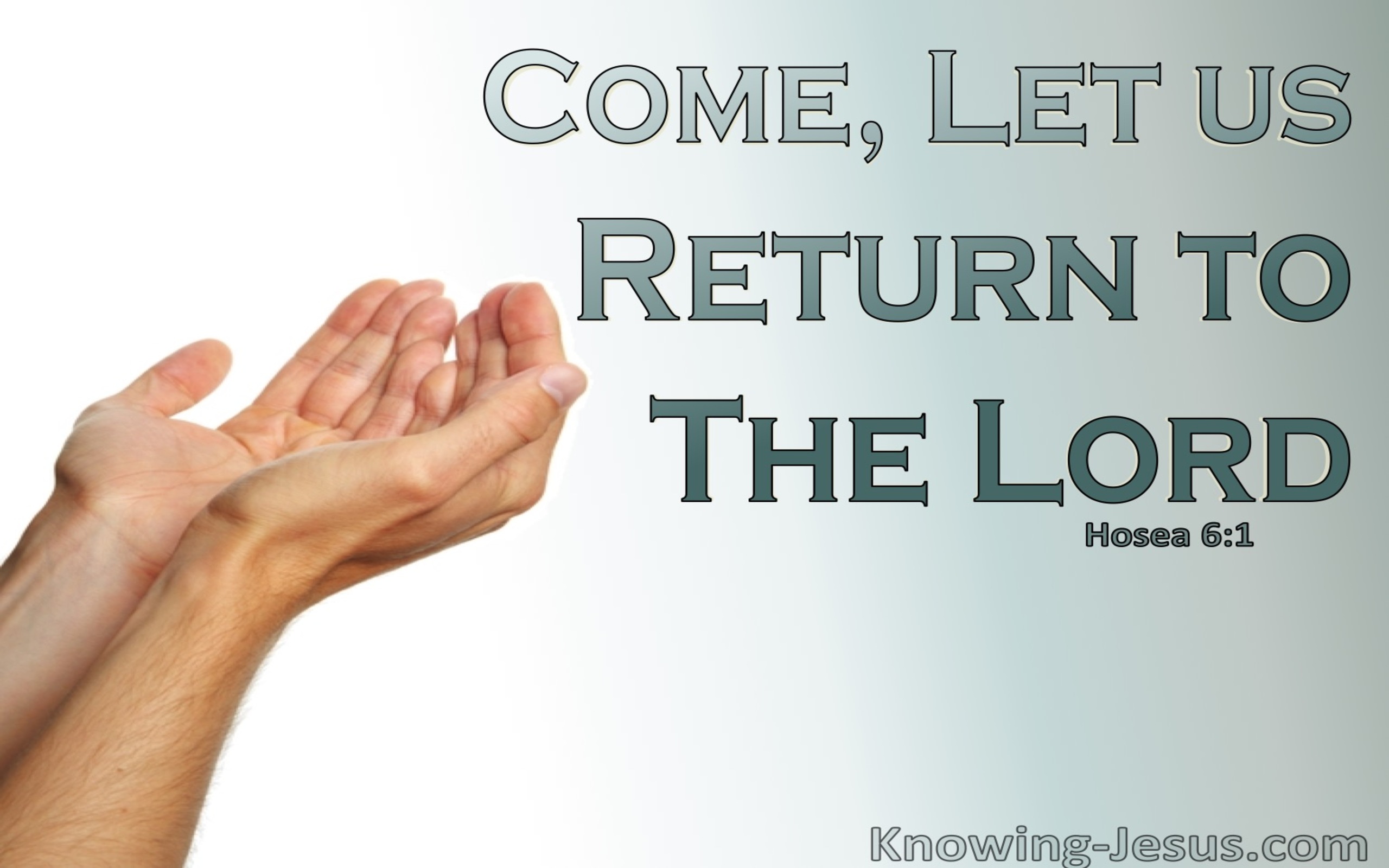 Hosea 6:1 Come, Let Us Return To The Lord (sage)